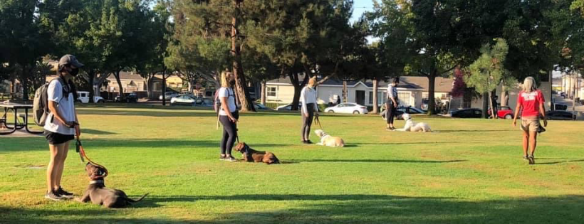 LARPBO Los Angeles Responsible Pit Bull Owners