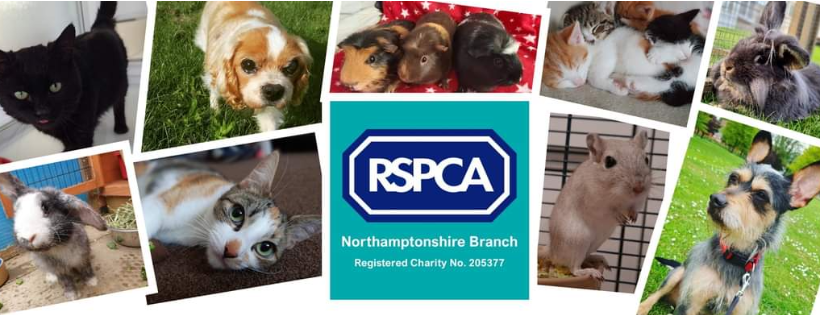RSPCA Northamptonshire