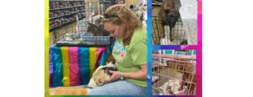 Beaumont Pets Alive