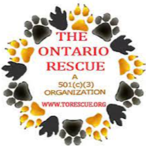 The Ontario Rescue Logo