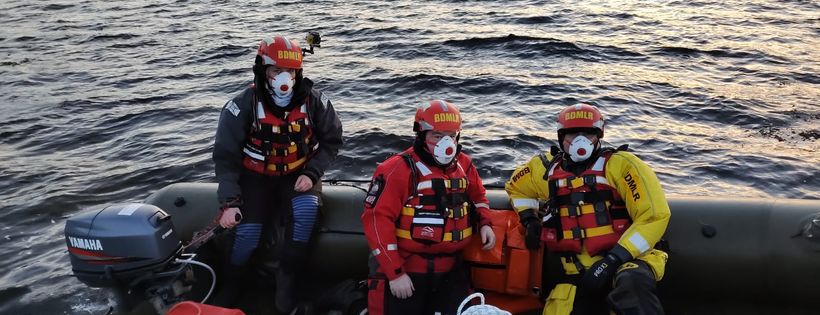 British Divers Marine Life Rescue  BDMLR