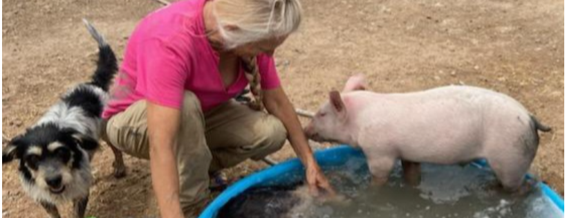Windy's Ranch & Rescue