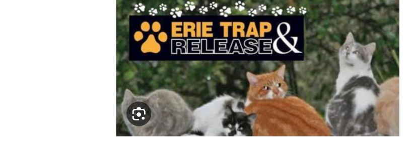 ERIE TRAP AND RELEASE INC