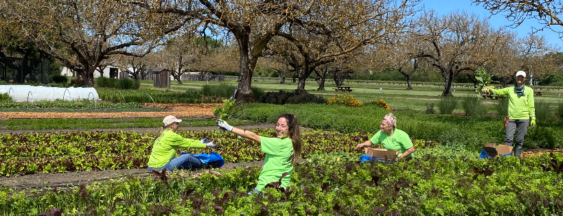 Farm to Pantry