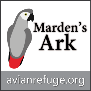 Marden's Ark