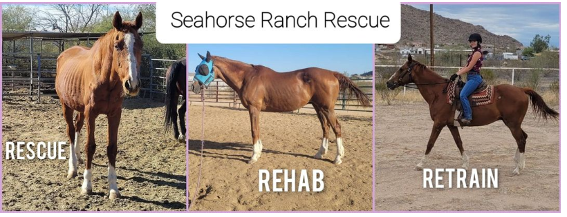 Seahorse Ranch Rescue