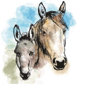 Neigh N' Bray Equine Rescue Logo