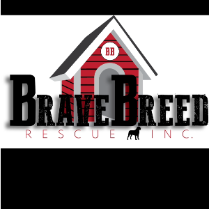 Brave Breed Rescue Logo