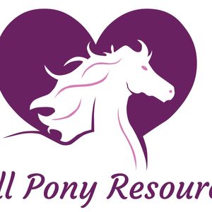 Hill Pony Resources Group