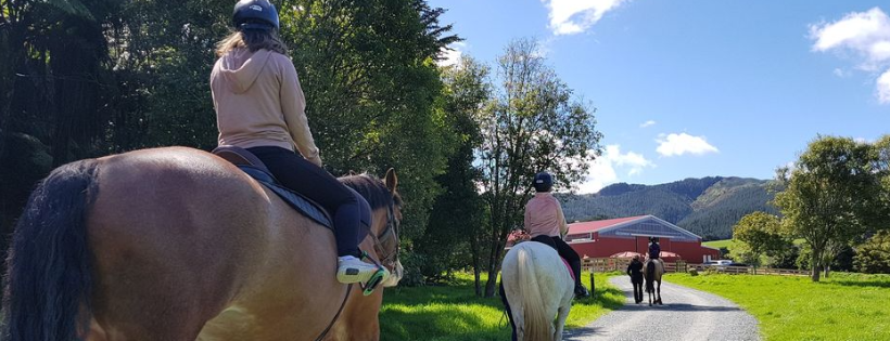 Wellington Riding for the Disabled Association Incorporated