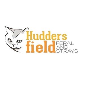 Huddersfield feral and strays