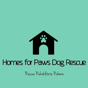 Homes for Paws Dog Rescue