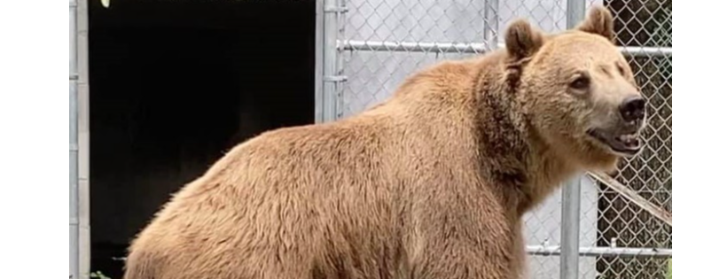 Elmira’s wildlife sanctuary
