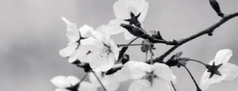 Hope Bereavement Care