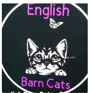 English Barn Cats