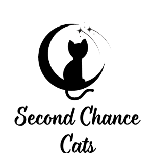 Leeroys Second Chance Cats Logo