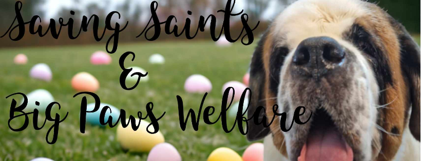 Saving Saints Rescue UK