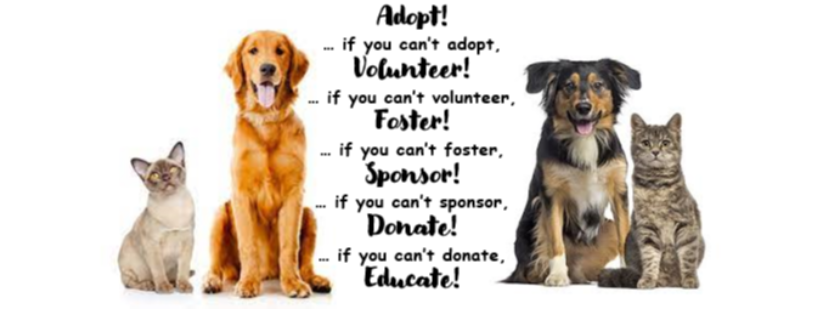 Stover Animal Rescue, Inc