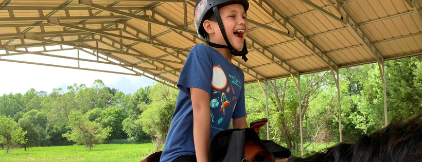 Cole's Horse Autism Therapy Station