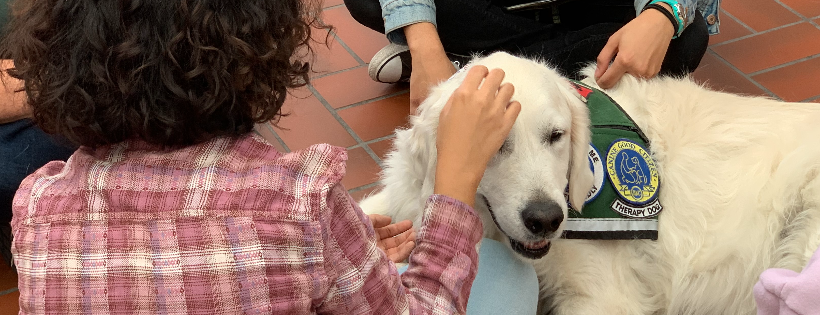 Healing Heart Therapy Dogs, Inc.