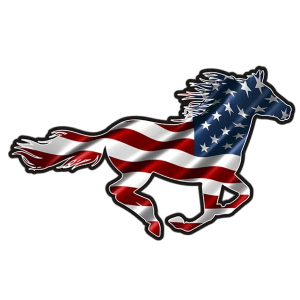 Rockin’ Sykes Ranch Logo