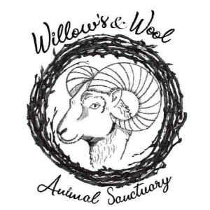 Willows & Wool animal sanctuary