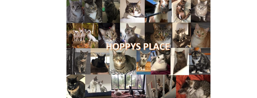 Hoppys Place Rescue Inc