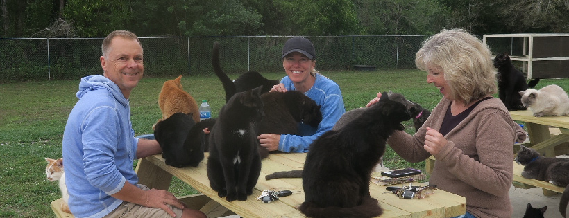 The Cat Ranch