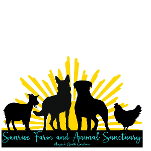 Sunrise Farm and Animal Sanctuary