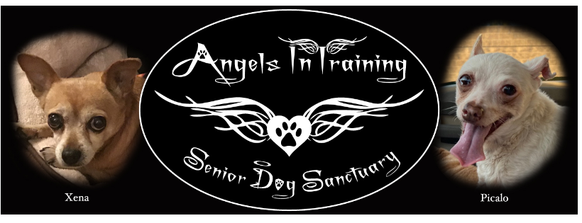Angels In Training Incorporated