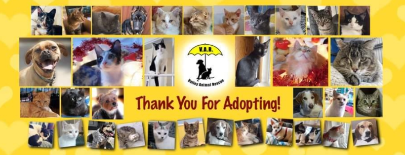 Valley Animal Rescue (Renfrew)