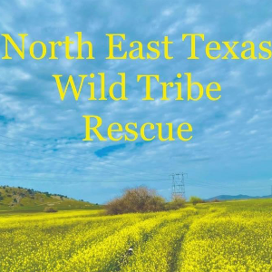 North East Texas Wild Tribe Rescue Inc. Logo