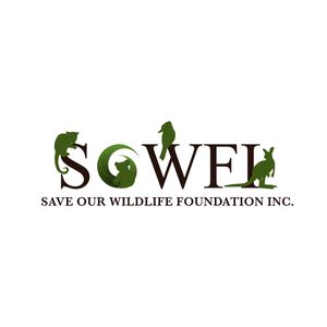 Save Our Wildlife Foundation Inc