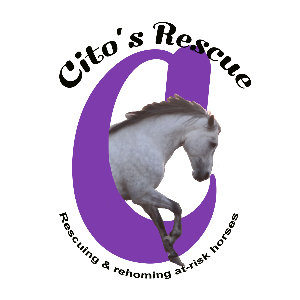 Cito's Rescue Logo
