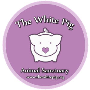 The White Pig Animal Sanctuary Logo