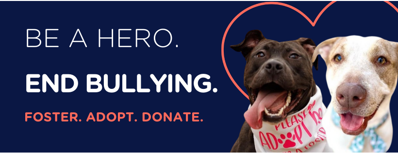 Braveheart Bulliez Rescue