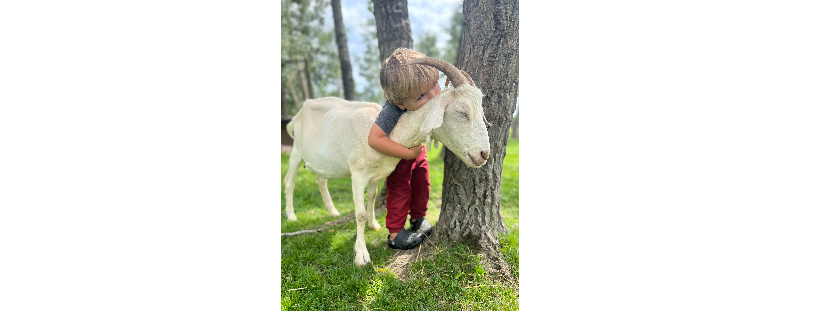 Kismet Creek Farm