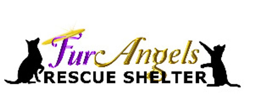 Fur Angels Rescue Shelter