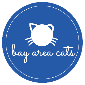 Bay Area Cats