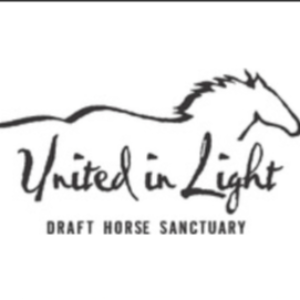 United in Light, Inc. Logo