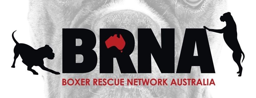 Boxer Rescue Network Australia
