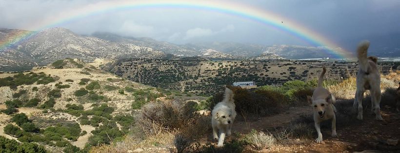 Takis Shelter Greece