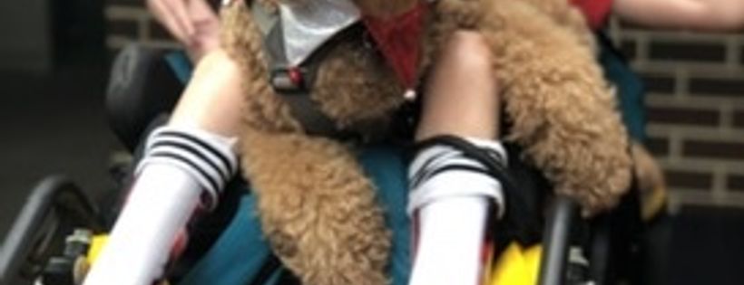 Taloodles Therapy Dogs