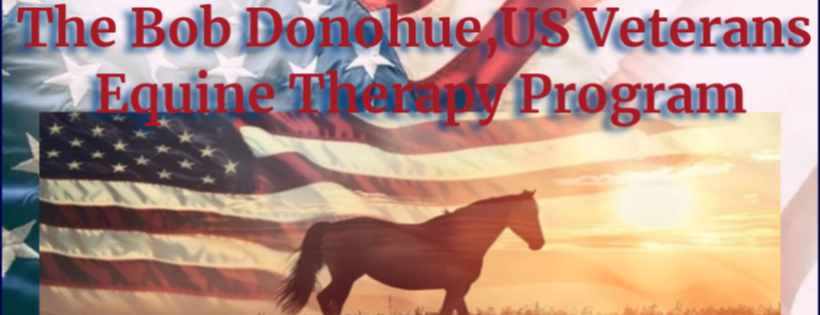 Wildfire’s Wild and Free Mustangs