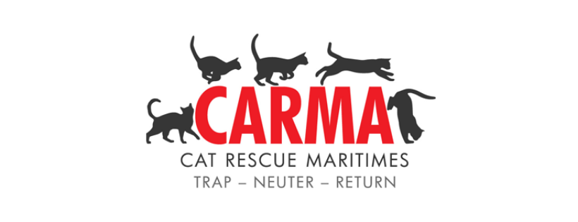 Carma (Cat Rescue Maritimes - Saint John Chapter)