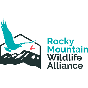 Rocky Mountain Wildlife Alliance