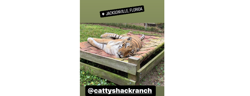 Catty Shack Ranch Wildlife Sanctuary