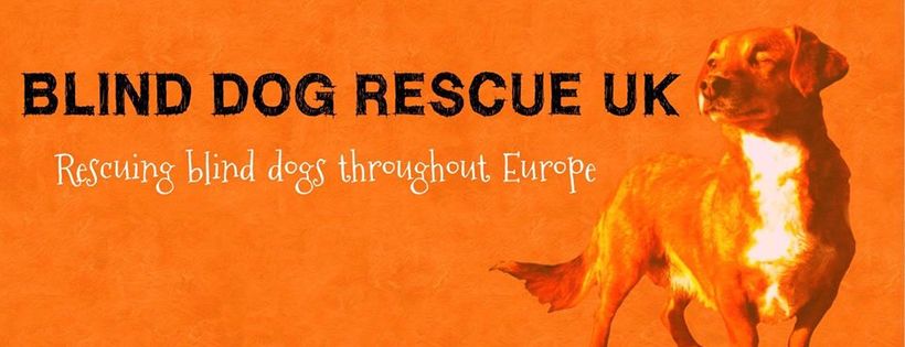 Blind Dog Rescue UK