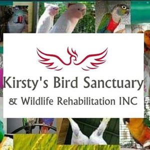 Kirsty's Bird Sanctuary