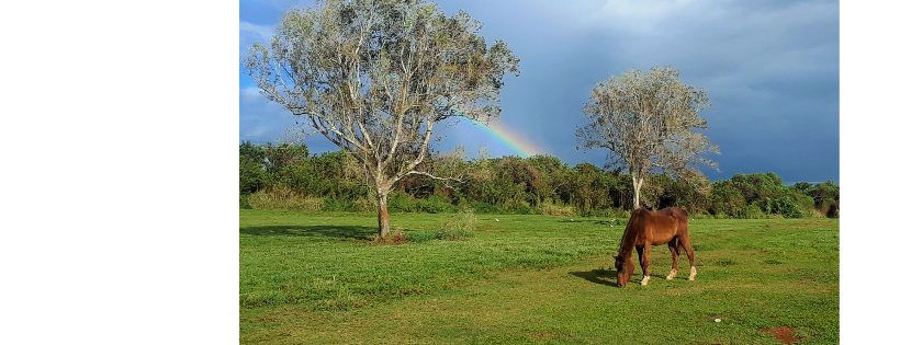 KaiMana Sanctuary